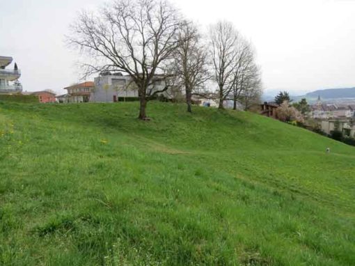 Terrassenhäuser, Wil