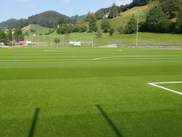 Sportplatz bauen – Sportplatz Bühler in neuem Grün