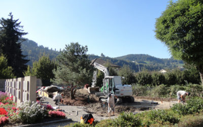 Gemeinschaftsgrab Friedhof Wattwil