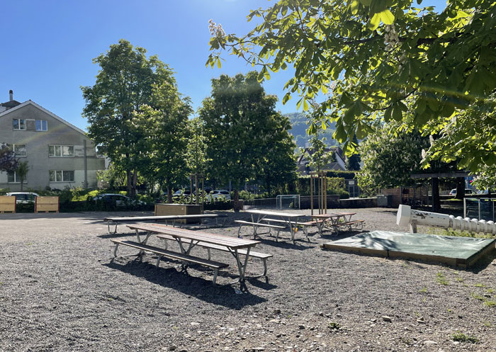 Schulanlage Bruggen St. Gallen - Die bestehenden Kiesflächen wurden zum Teil in Ruderalflächen mit Initial- bepflanzung umgewandelt. 