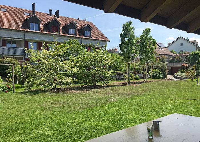 Privatgarten Hettlingen - Entlang der Grenze sind malerische Grossgehölze und Hochstämme gepflanzt worden, die die Sicht auf das Nachbargrundstück einschränken und die Blicke auf sich ziehen.