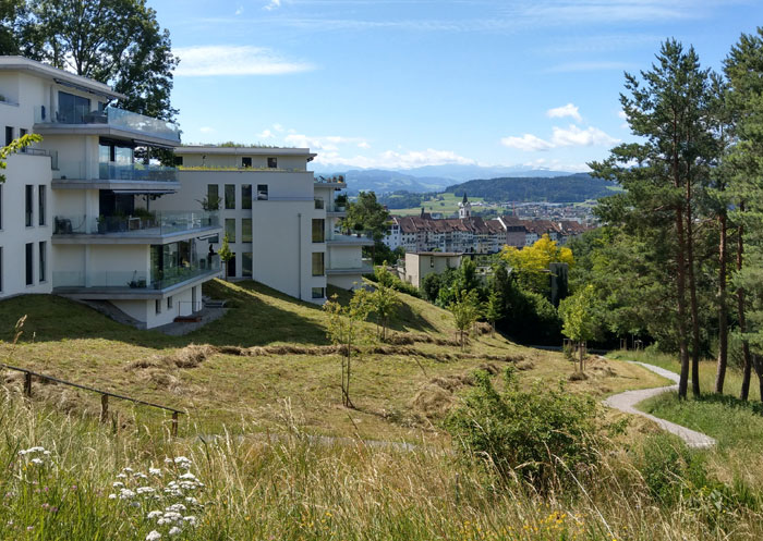 Terrassenhäuser Wil - Die zu erhaltenden, grossgewachsenen Hochstammbäume werden in die Umgebungsgestaltung integriert.